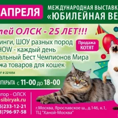 Объединение любителей сибирских кошек им. Т. Е. Павловой фотография 1