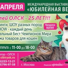 Объединение любителей сибирских кошек им. Т. Е. Павловой фотография 5